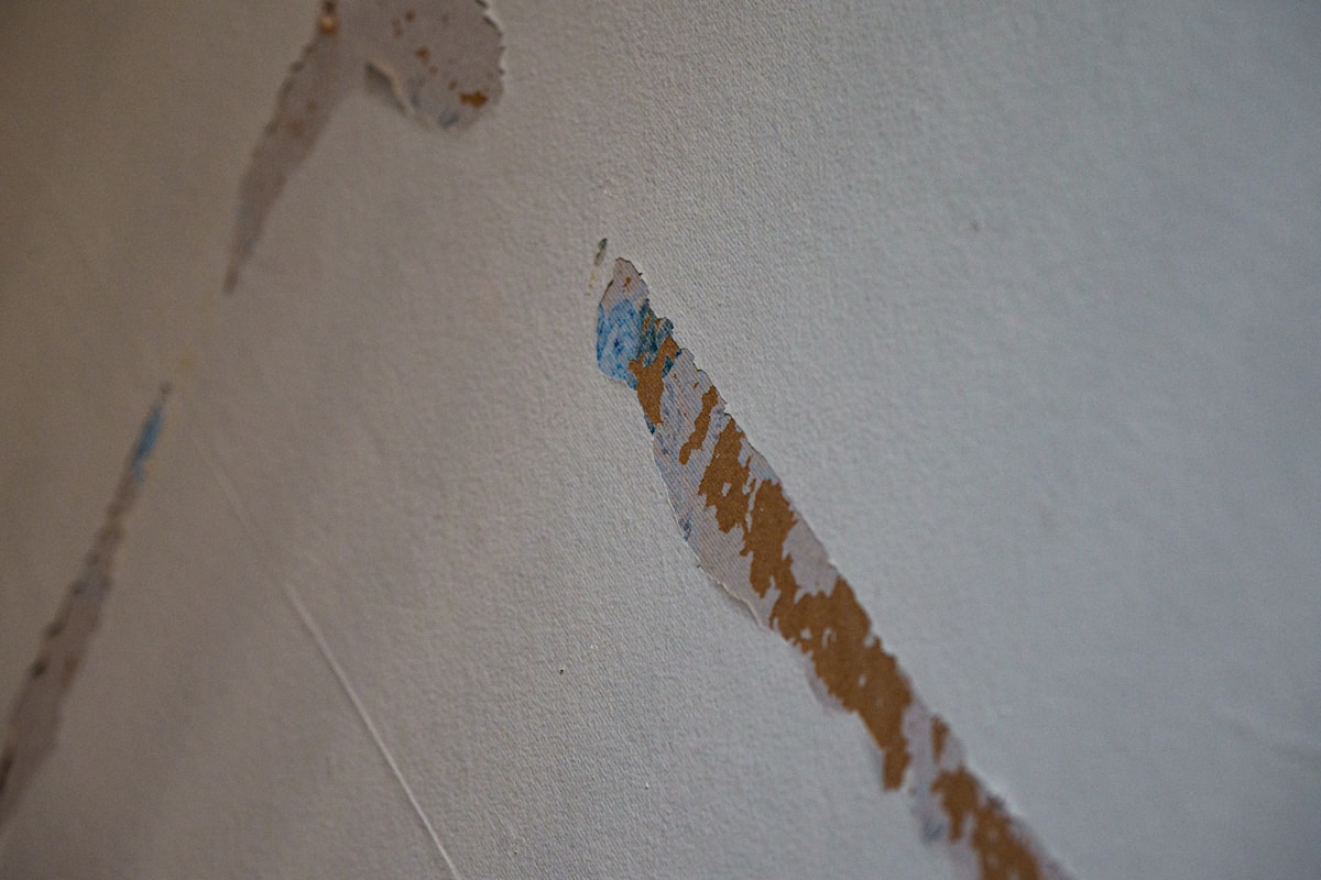 Water Extraction service in Lake Charles, LA